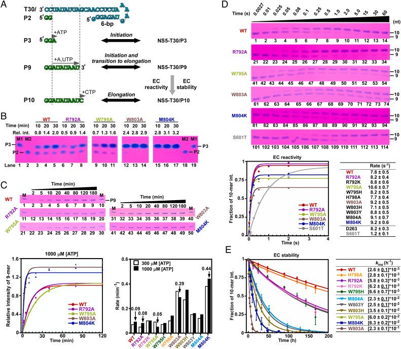 https://cdn.ncbi.nlm.nih.gov/pmc/blobs/b57b/9910504/1f28a38ba9be/pnas.2211425120fig03.jpg