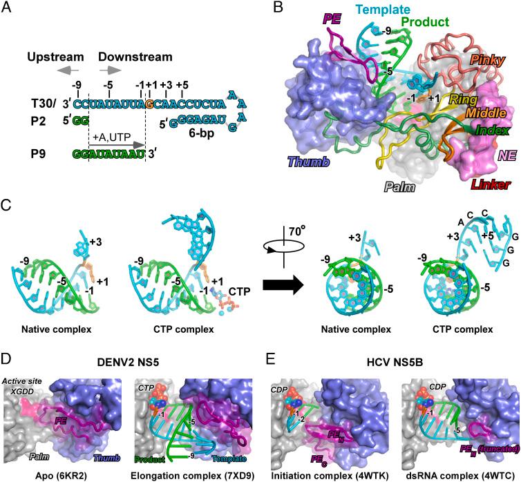 https://cdn.ncbi.nlm.nih.gov/pmc/blobs/b57b/9910504/a15d6396bcc6/pnas.2211425120fig01.jpg