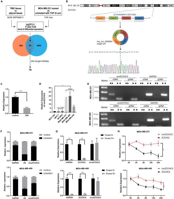 https://cdn.ncbi.nlm.nih.gov/pmc/blobs/b57d/10867422/30c8efd25e4f/gr1.jpg