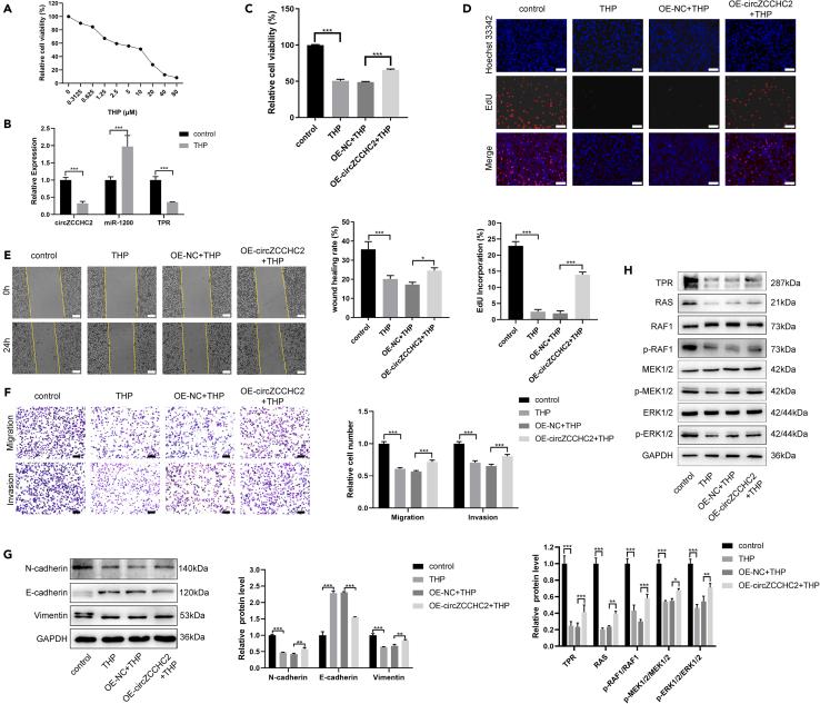 https://cdn.ncbi.nlm.nih.gov/pmc/blobs/b57d/10867422/52d308e021fa/gr7.jpg