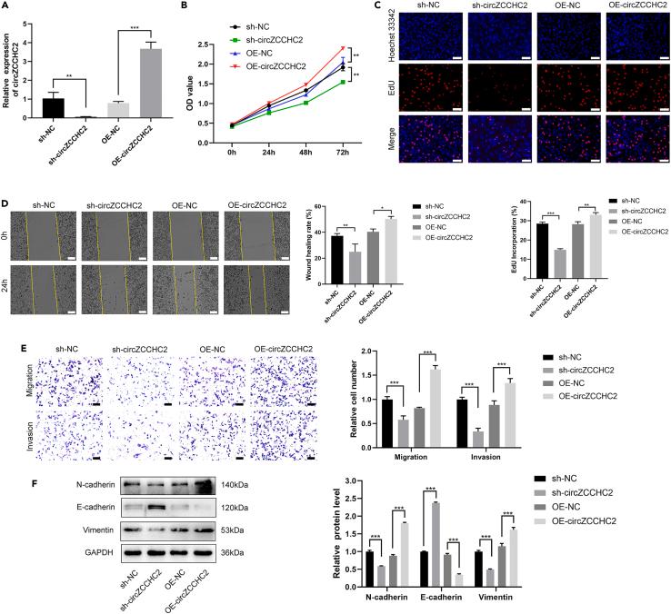 https://cdn.ncbi.nlm.nih.gov/pmc/blobs/b57d/10867422/72cc6513c7fd/gr3.jpg