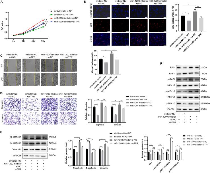 https://cdn.ncbi.nlm.nih.gov/pmc/blobs/b57d/10867422/aa209b257739/gr6.jpg