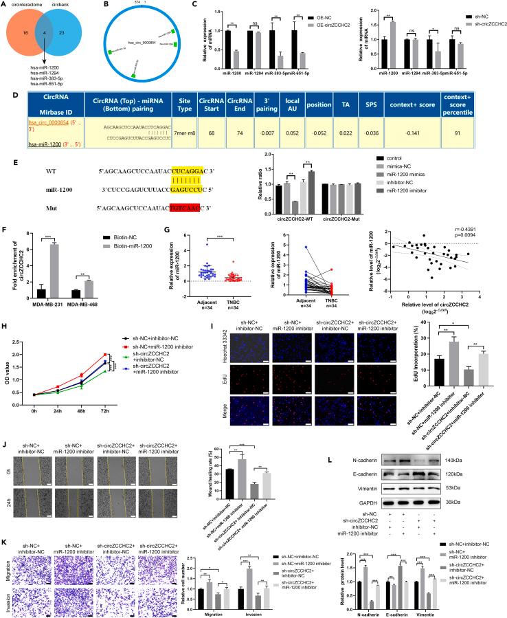 https://cdn.ncbi.nlm.nih.gov/pmc/blobs/b57d/10867422/b1fd32d4171a/gr4.jpg