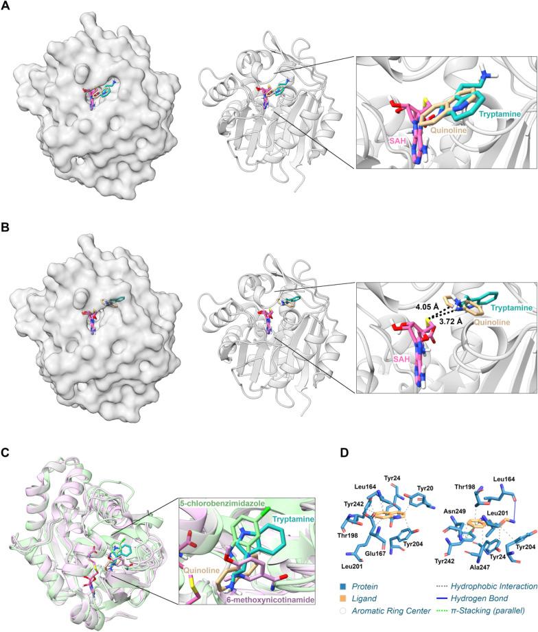 https://cdn.ncbi.nlm.nih.gov/pmc/blobs/b57d/11987180/36b249900f2f/13062_2025_632_Fig4_HTML.jpg