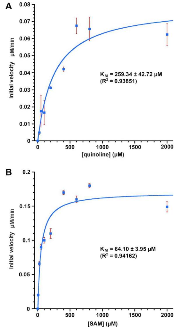 https://cdn.ncbi.nlm.nih.gov/pmc/blobs/b57d/11987180/5b253774b456/13062_2025_632_Fig1_HTML.jpg