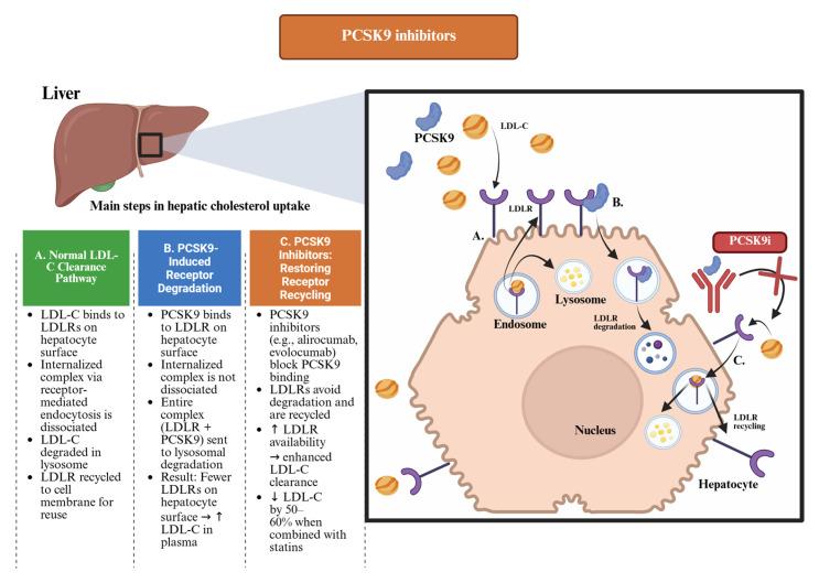 https://cdn.ncbi.nlm.nih.gov/pmc/blobs/b57e/12389475/6905c234f5f7/pharmaceuticals-18-01150-g001.jpg