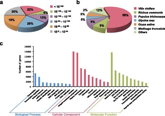 https://cdn.ncbi.nlm.nih.gov/pmc/blobs/b580/5471912/15cb98ab488d/12864_2017_3846_Fig2_HTML.jpg