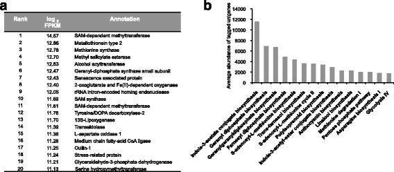 https://cdn.ncbi.nlm.nih.gov/pmc/blobs/b580/5471912/67f0fc368a0a/12864_2017_3846_Fig3_HTML.jpg