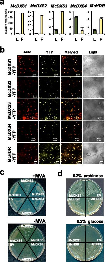 https://cdn.ncbi.nlm.nih.gov/pmc/blobs/b580/5471912/914a22812e80/12864_2017_3846_Fig5_HTML.jpg