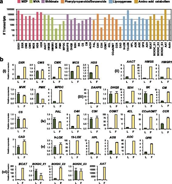 https://cdn.ncbi.nlm.nih.gov/pmc/blobs/b580/5471912/ae41e522aec7/12864_2017_3846_Fig4_HTML.jpg