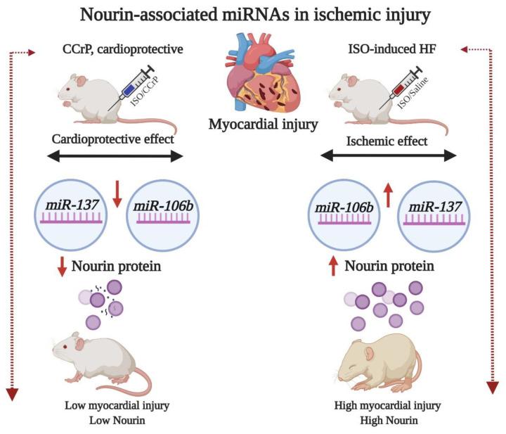https://cdn.ncbi.nlm.nih.gov/pmc/blobs/b580/8036979/00067f783aad/ijms-22-03575-g001.jpg