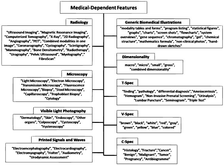 https://cdn.ncbi.nlm.nih.gov/pmc/blobs/b584/11172273/5b5f325f4c03/diagnostics-14-01204-g002.jpg