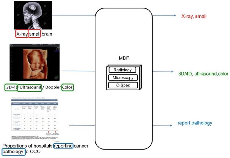 https://cdn.ncbi.nlm.nih.gov/pmc/blobs/b584/11172273/a4ccb104ebf5/diagnostics-14-01204-g005.jpg