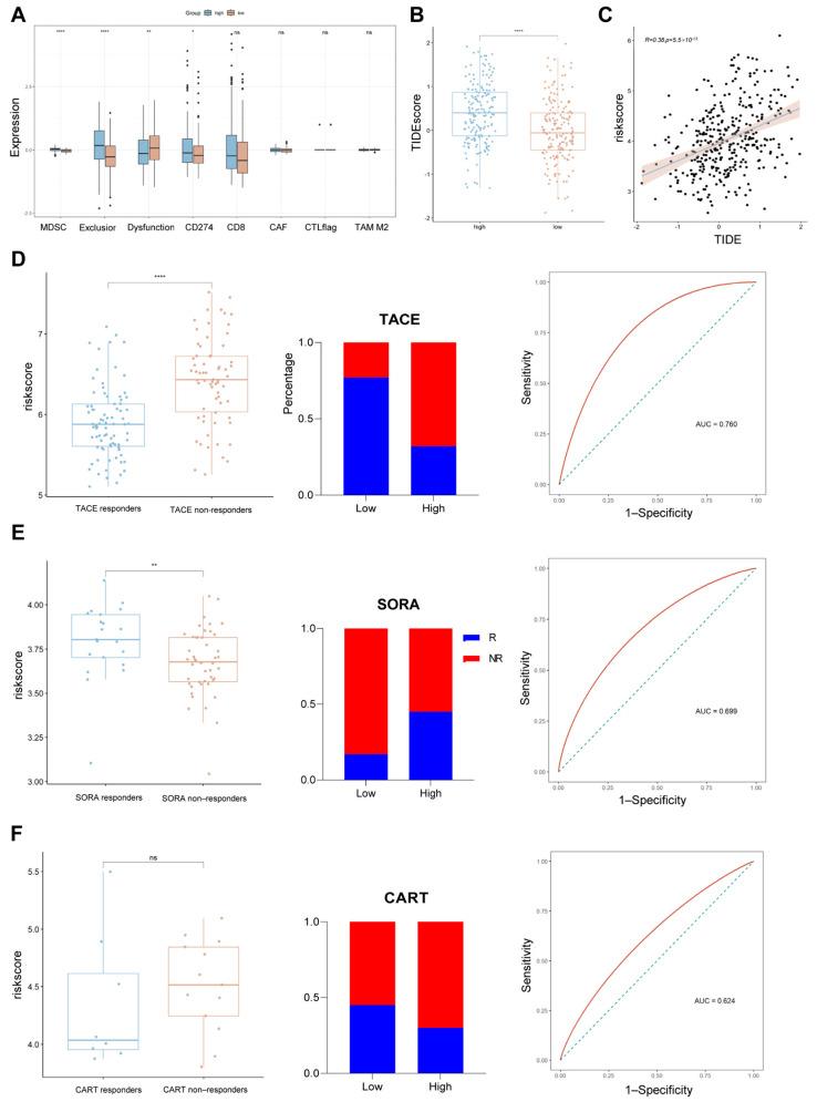 https://cdn.ncbi.nlm.nih.gov/pmc/blobs/b584/12249523/565a8896d09f/ijms-26-06135-g007.jpg