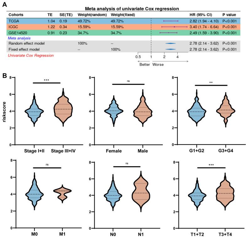 https://cdn.ncbi.nlm.nih.gov/pmc/blobs/b584/12249523/998fbe8d1760/ijms-26-06135-g005.jpg