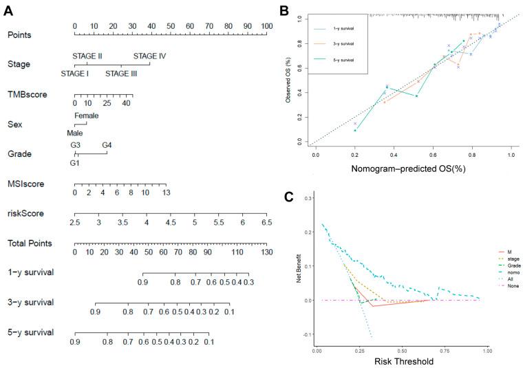 https://cdn.ncbi.nlm.nih.gov/pmc/blobs/b584/12249523/fea781c67c00/ijms-26-06135-g006.jpg