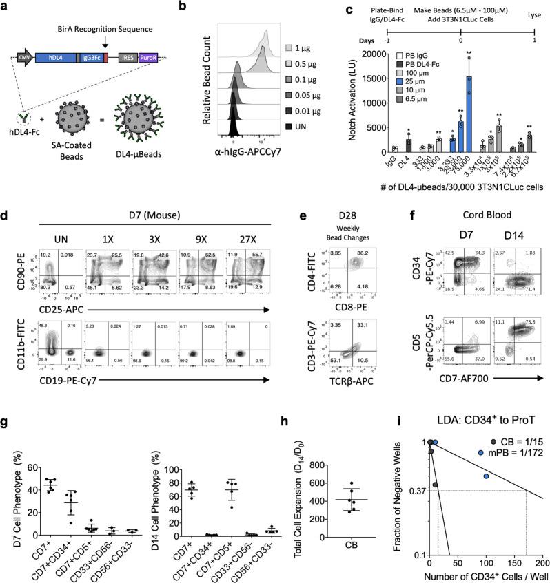 https://cdn.ncbi.nlm.nih.gov/pmc/blobs/b587/8373879/35ea8a88c4c4/41467_2021_25245_Fig1_HTML.jpg