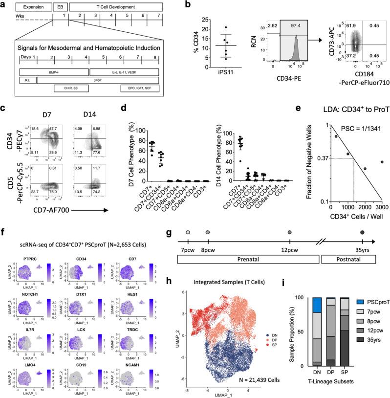 https://cdn.ncbi.nlm.nih.gov/pmc/blobs/b587/8373879/c39d80b97f3f/41467_2021_25245_Fig3_HTML.jpg