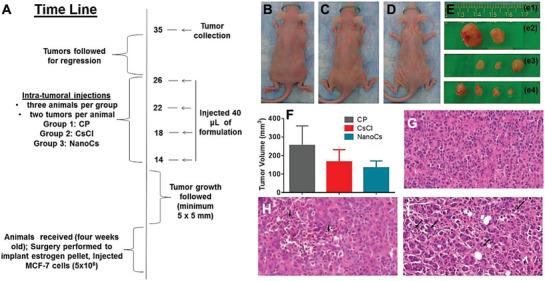 https://cdn.ncbi.nlm.nih.gov/pmc/blobs/b589/11809427/054f6e319b3a/ADVS-12-2406324-g003.jpg