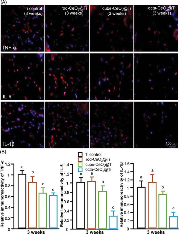 https://cdn.ncbi.nlm.nih.gov/pmc/blobs/b589/11809427/1e8644934a97/ADVS-12-2406324-g017.jpg