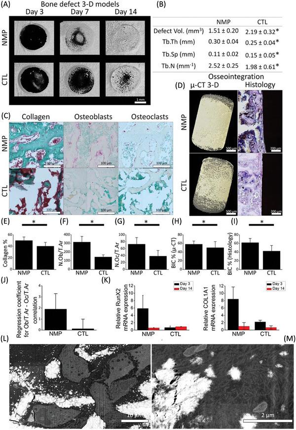 https://cdn.ncbi.nlm.nih.gov/pmc/blobs/b589/11809427/3254abbd1871/ADVS-12-2406324-g007.jpg