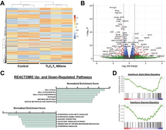 https://cdn.ncbi.nlm.nih.gov/pmc/blobs/b589/11809427/3676ad295425/ADVS-12-2406324-g004.jpg