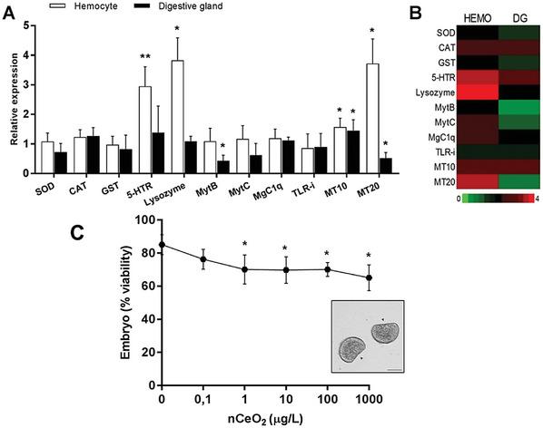 https://cdn.ncbi.nlm.nih.gov/pmc/blobs/b589/11809427/4c97dfda2533/ADVS-12-2406324-g016.jpg