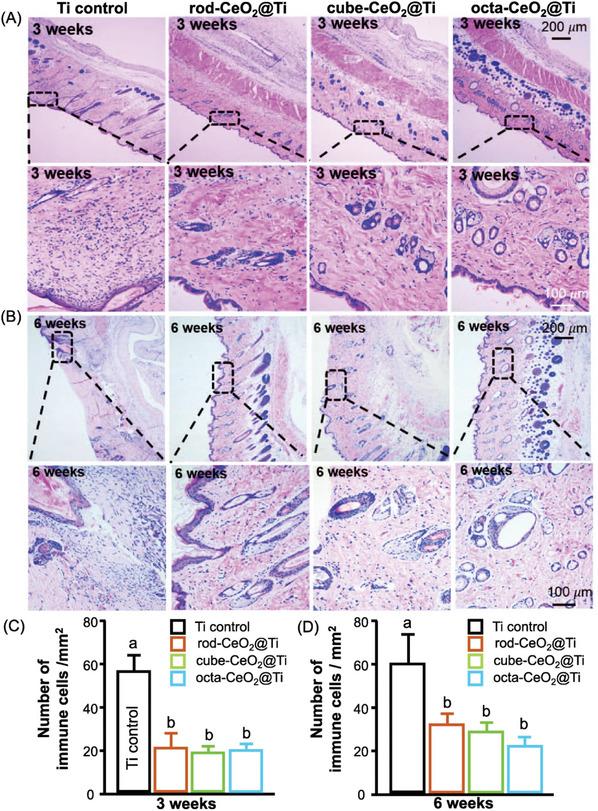 https://cdn.ncbi.nlm.nih.gov/pmc/blobs/b589/11809427/6ccb172bd87e/ADVS-12-2406324-g009.jpg