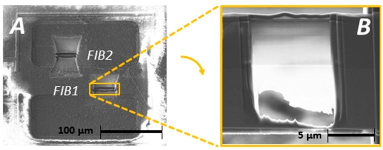 https://cdn.ncbi.nlm.nih.gov/pmc/blobs/b589/5872061/0dbb477299e0/biosensors-08-00013-g005.jpg