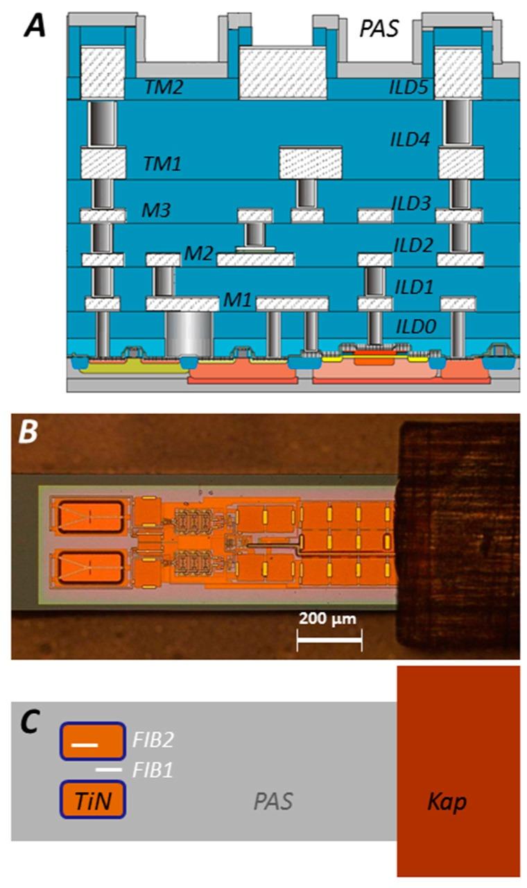 https://cdn.ncbi.nlm.nih.gov/pmc/blobs/b589/5872061/ed181262be03/biosensors-08-00013-g001.jpg