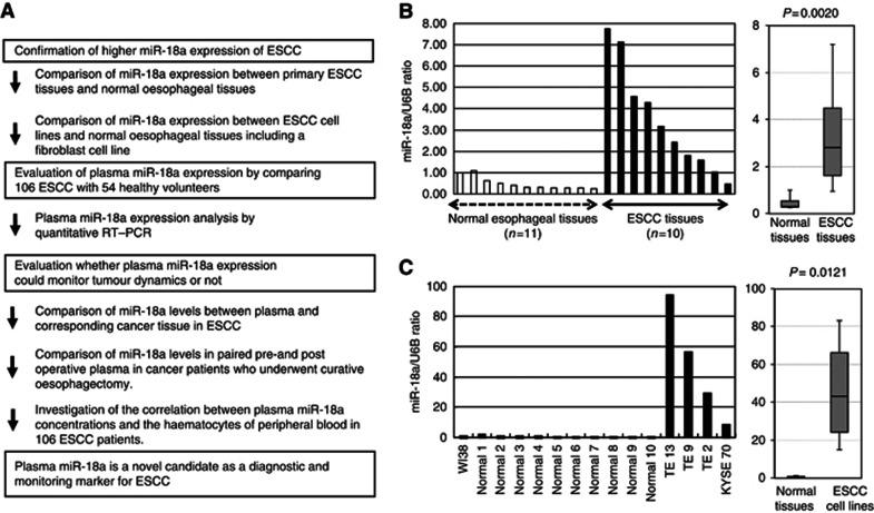https://cdn.ncbi.nlm.nih.gov/pmc/blobs/b58a/3658511/456b2e352ec9/bjc2013148f1.jpg