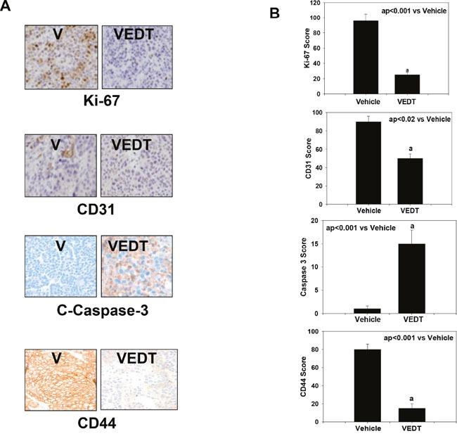 https://cdn.ncbi.nlm.nih.gov/pmc/blobs/b58b/5458229/a5644454c8a1/oncotarget-08-31554-g005.jpg