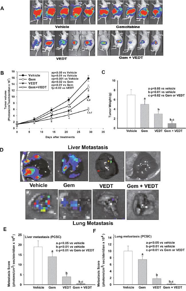 https://cdn.ncbi.nlm.nih.gov/pmc/blobs/b58b/5458229/ef607dd7a656/oncotarget-08-31554-g006.jpg