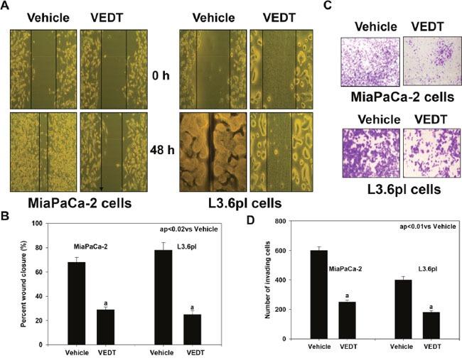 https://cdn.ncbi.nlm.nih.gov/pmc/blobs/b58b/5458229/f90b31ca5aaa/oncotarget-08-31554-g003.jpg