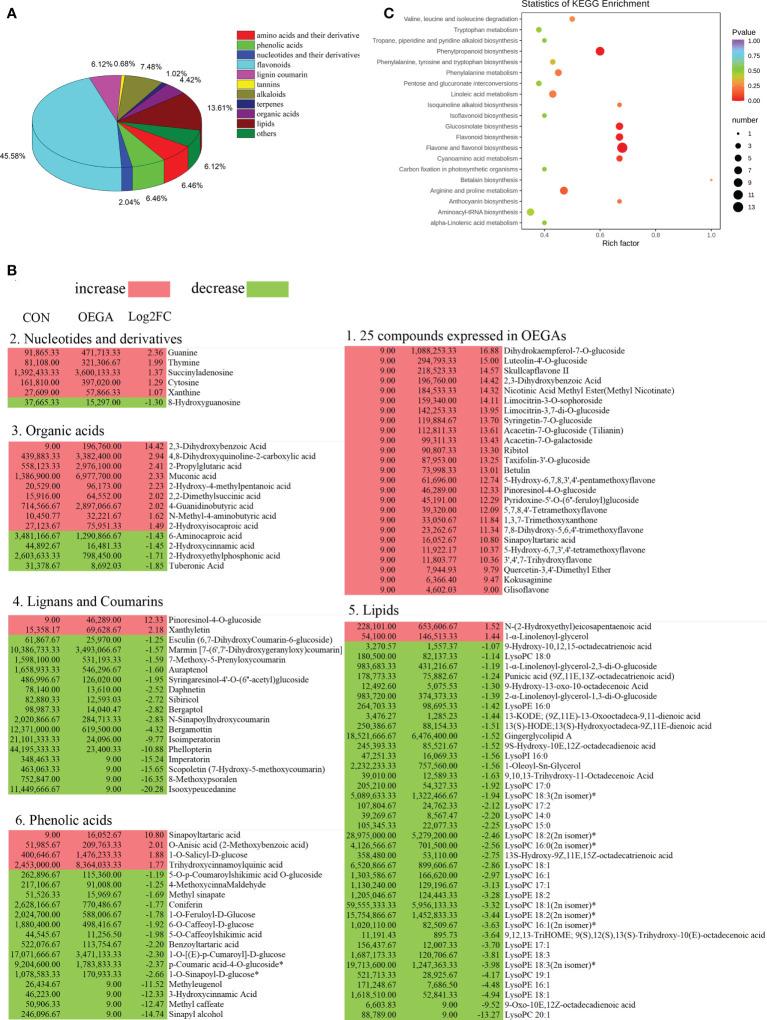 https://cdn.ncbi.nlm.nih.gov/pmc/blobs/b58b/9671072/0746fe13619e/fpls-13-1022961-g005.jpg
