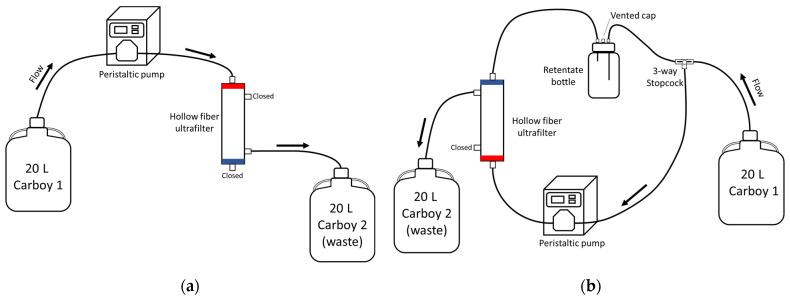 https://cdn.ncbi.nlm.nih.gov/pmc/blobs/b58c/11680412/93dd6ecb5234/viruses-16-01898-g002.jpg