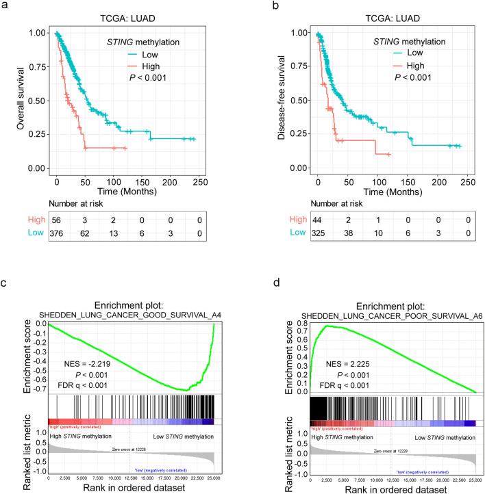 https://cdn.ncbi.nlm.nih.gov/pmc/blobs/b58c/9385651/06452795259e/41598_2022_18278_Fig5_HTML.jpg