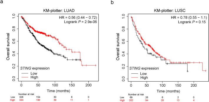 https://cdn.ncbi.nlm.nih.gov/pmc/blobs/b58c/9385651/b6acc02f18a5/41598_2022_18278_Fig2_HTML.jpg