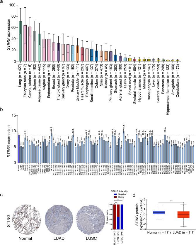 https://cdn.ncbi.nlm.nih.gov/pmc/blobs/b58c/9385651/cd573f70043d/41598_2022_18278_Fig1_HTML.jpg