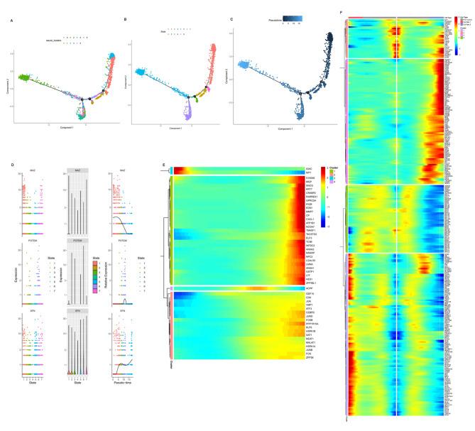https://cdn.ncbi.nlm.nih.gov/pmc/blobs/b58f/10204220/1e90ab99b728/40164_2023_407_Fig5_HTML.jpg