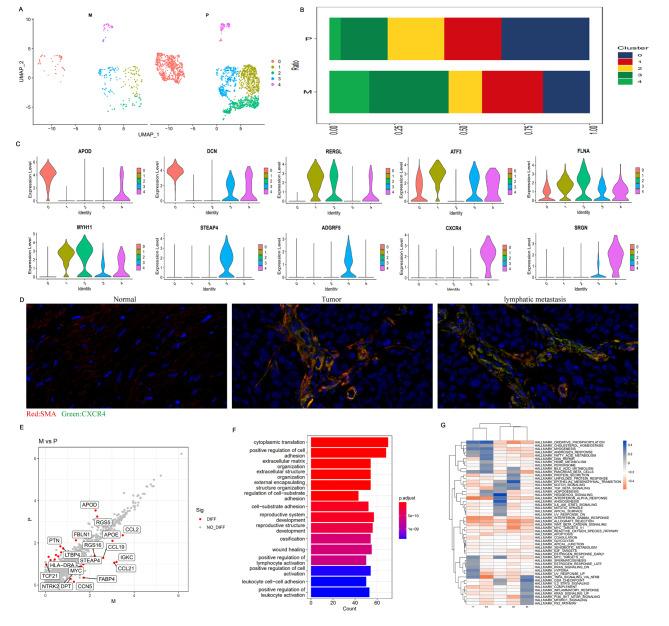 https://cdn.ncbi.nlm.nih.gov/pmc/blobs/b58f/10204220/24b6d224056f/40164_2023_407_Fig8_HTML.jpg