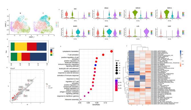 https://cdn.ncbi.nlm.nih.gov/pmc/blobs/b58f/10204220/7d5096d045cc/40164_2023_407_Fig6_HTML.jpg