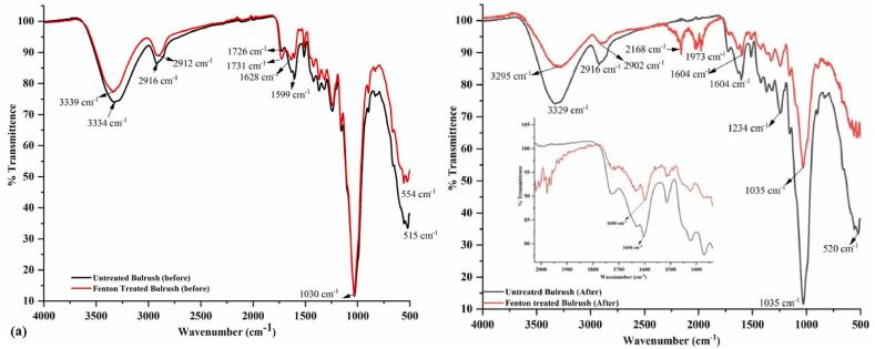 https://cdn.ncbi.nlm.nih.gov/pmc/blobs/b58f/11565393/eb966dc51da9/gr2.jpg