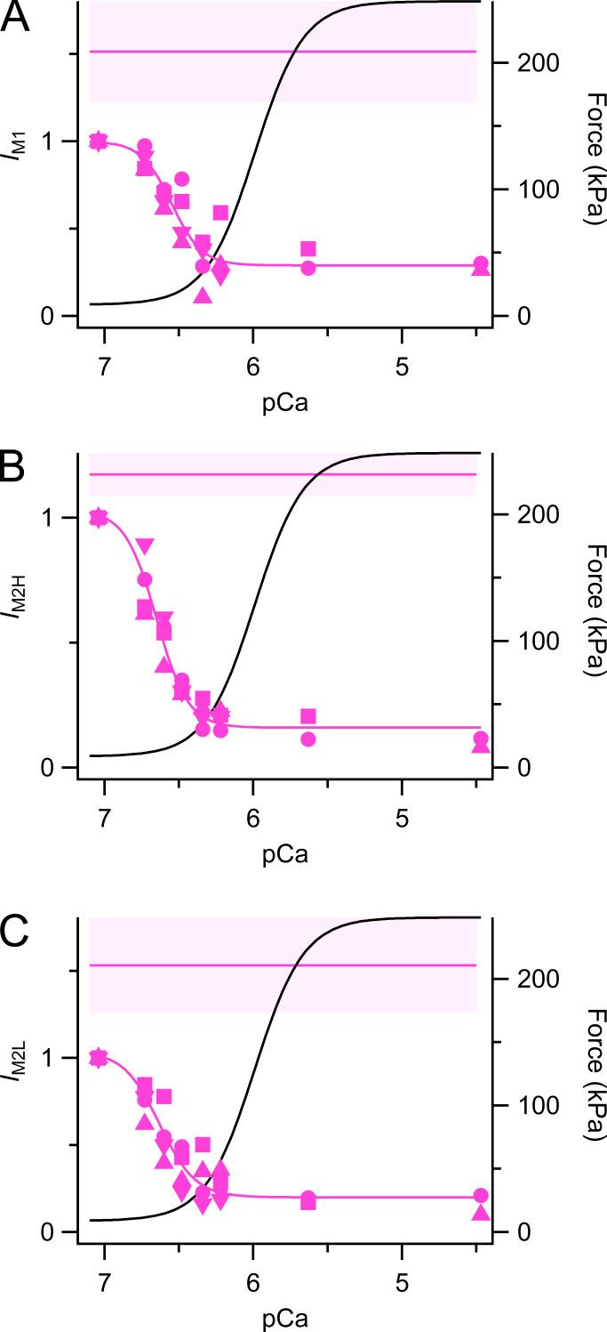 https://cdn.ncbi.nlm.nih.gov/pmc/blobs/b590/10533363/0e8bf3d8ce43/JGP_202313393_Fig7.jpg