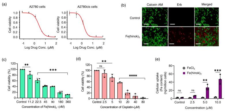 https://cdn.ncbi.nlm.nih.gov/pmc/blobs/b592/10343305/40ad04548e2e/molecules-28-04917-g003.jpg