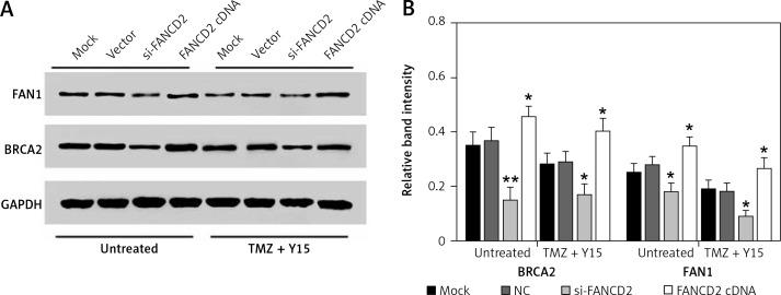 https://cdn.ncbi.nlm.nih.gov/pmc/blobs/b592/6657253/0c45a010e6bc/AMS-15-36992-g007.jpg