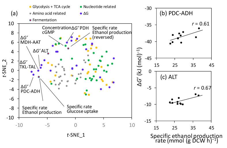 https://cdn.ncbi.nlm.nih.gov/pmc/blobs/b593/10671664/228530b8dee1/ijms-24-16378-g002.jpg