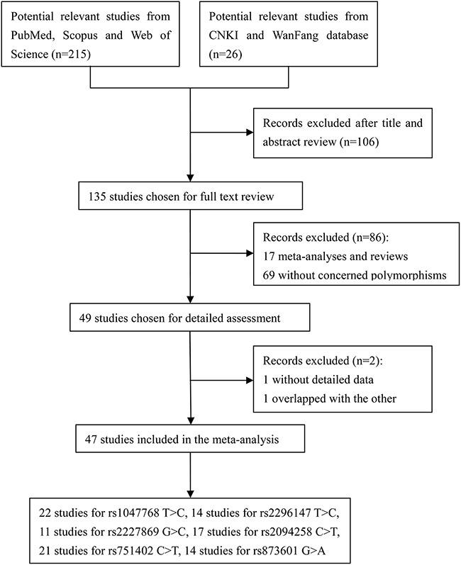 https://cdn.ncbi.nlm.nih.gov/pmc/blobs/b593/5513715/3f8ddaa884f5/oncotarget-08-37263-g001.jpg