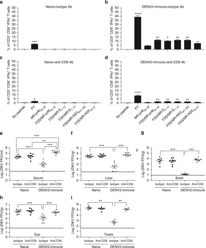https://cdn.ncbi.nlm.nih.gov/pmc/blobs/b593/5682281/5b06e927d592/41467_2017_1669_Fig1_HTML.jpg
