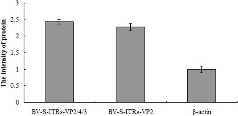 https://cdn.ncbi.nlm.nih.gov/pmc/blobs/b594/4500495/2c75e87cb285/pone.0132993.g003.jpg